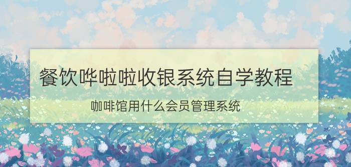 餐饮哗啦啦收银系统自学教程 咖啡馆用什么会员管理系统？